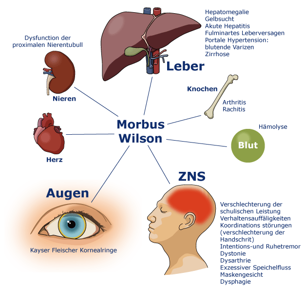 Das Leben der Anderen 2006 HD Stream