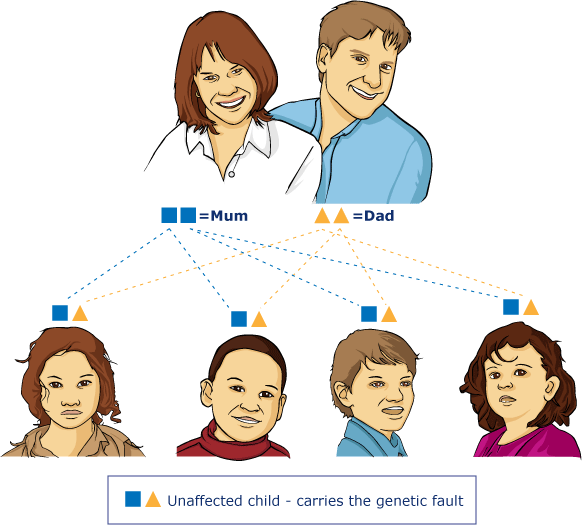 Diagram VI